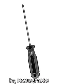 Phillips Screwdriver black and white picture