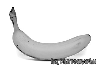 Banana black and white picture