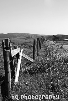 Country Fence & Road black and white picture