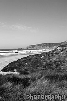 Kehoe Beach, Grass & Ocean black and white picture