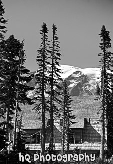 Mt. Rainier Behind Paradise Inn black and white picture