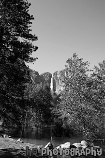 Yosemite Falls in Distance black and white picture