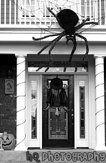 Halloween Spider & Witch black and white picture