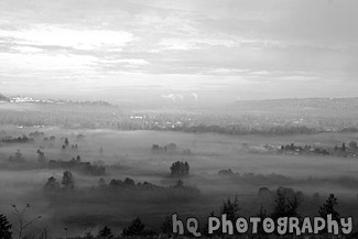 Fog Covering Valley black and white picture