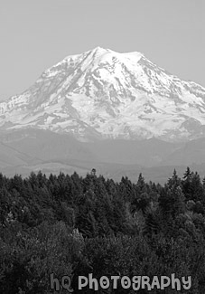 North Side of Mt. Rainier black and white picture