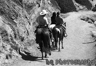 Horseback Riding at Half Moon Bay black and white picture