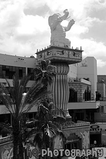 Babylon Court & Elephant black and white picture