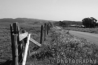 Marin County Country Road & Fence black and white picture