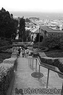 Running Stairs in the Presidio black and white picture