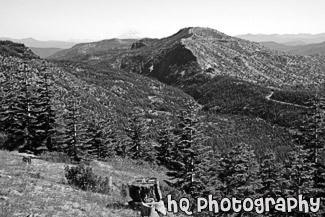 Mt. Baker & Gifford Pinchot National Forest black and white picture