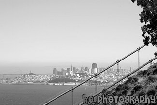 San Francisco View looking over Golden Gate Bridge black and white picture