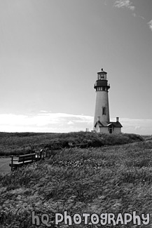 Bench & Yaquina Head Lighthouse black and white picture