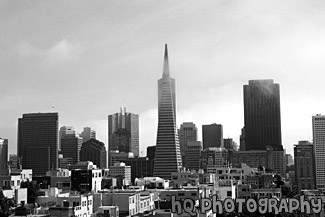 Financial District, San Francisco black and white picture