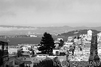 Oakland & Treasure Island from S.F. black and white picture