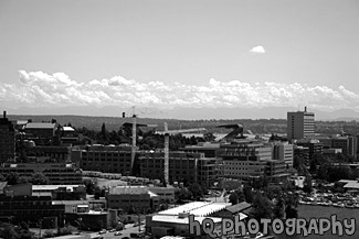 Husky Stadium, Lake Washington & Cascades black and white picture