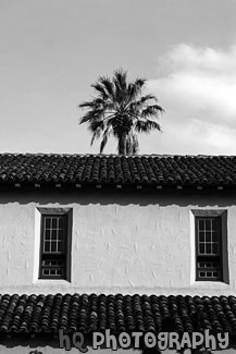 Palm Tree & Santa Clara Mission black and white picture