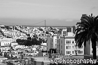 San Francisco Buildings & Bay Bridge black and white picture