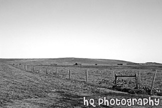 California Farmland black and white picture