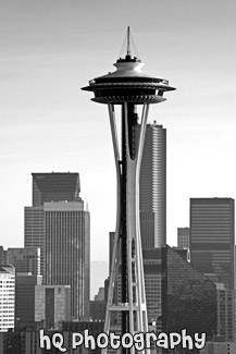 Seattle Space Needle With Buildings black and white picture