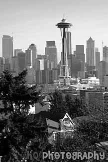 Seattle Skycrapers & Space Needle black and white picture