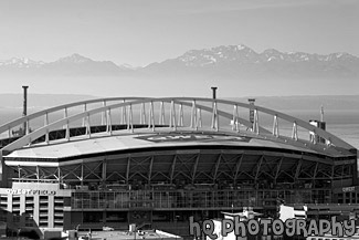 Olympic Mountains & Qwest Field black and white picture