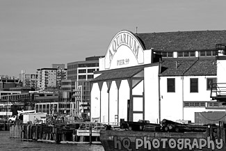 Aquarium Pier 59, Seattle black and white picture