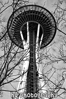 Space Needle & Tree Branches black and white picture