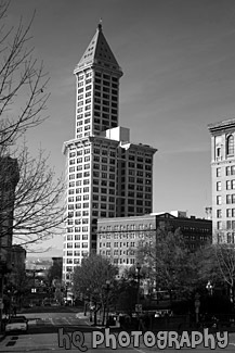 Road & Tall Building in Seattle black and white picture