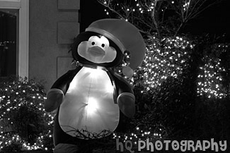 Christmas Penguin Decoration black and white picture