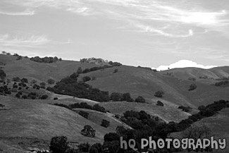 Green Hill, Trees, & Blue Sky black and white picture