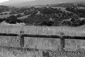 Country Fence & Green Fields black and white picture