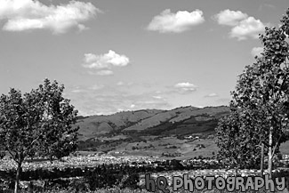 East San Jose Landscape & Houses black and white picture