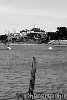 Stick & Coit Tower black and white picture