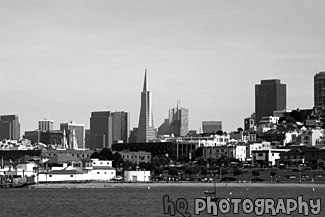 San Francisco City & Bay black and white picture