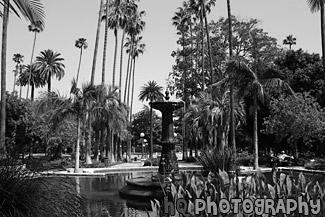 Will Rogers Memorial Park Fountain black and white picture