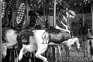 Horse Carousel black and white picture