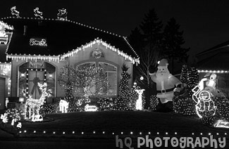 Christmas Lights on House & Yard black and white picture