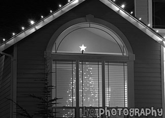 Christmas Tree Seen Through Window black and white picture