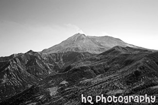 Devastation & Mount St. Helens black and white picture