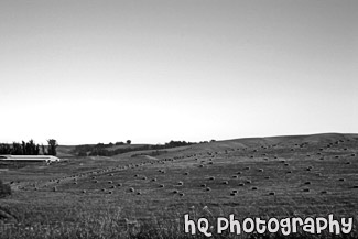 Farm With Hay Stacks black and white picture