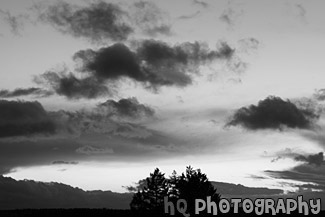 Night Sunset & Landscape Silhouette black and white picture