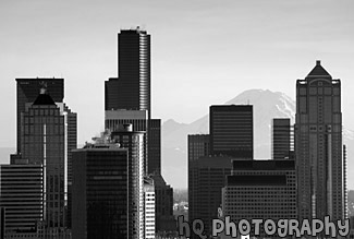 Seattle Buildings & Mt. Rainier in Background black and white picture