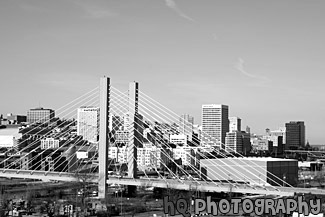 Downtown Tacoma on Sunny Day black and white picture