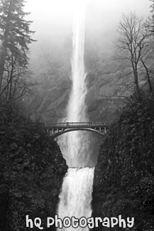 Multnomah Falls black and white picture