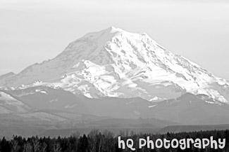 Mount Rainier in During Winter Season black and white picture