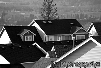 Tops of Roofs to Houses black and white picture