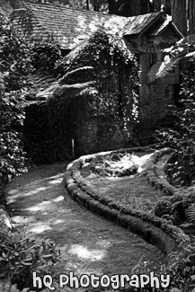 Mossy House & Yard black and white picture