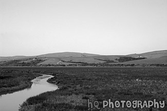 Marin County Fieldland and Hills black and white picture