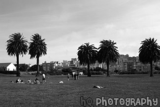 People Enjoying a San Francisco Park black and white picture