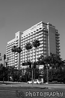 Hotel in Downtown Beverly Hills black and white picture